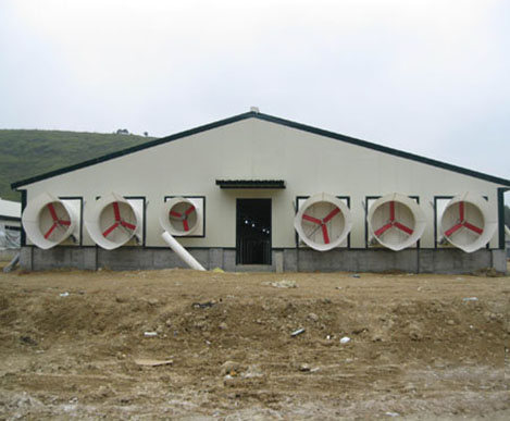 Low Cost Steel Broiler Poultry Farm Chicken Eggs House